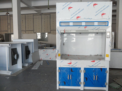 PP瓷白蓝通风柜